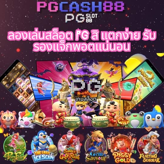 popza24k